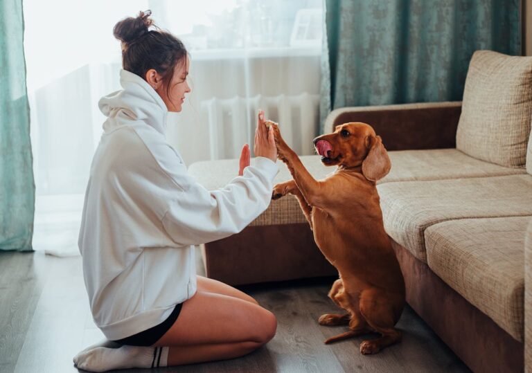 Vedi i Gps per cani senza abbonamento