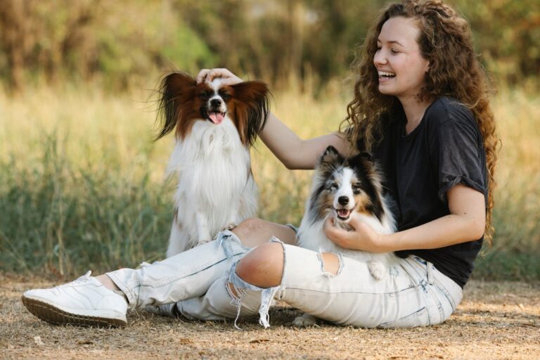 collari antiabbaio petsafe per cani. La nostra analisi!